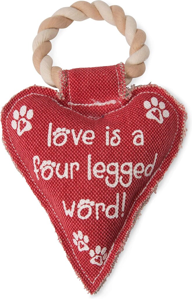 45611 Heart Love Dog Toy