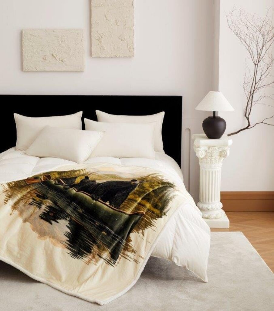 DTR24147 50x60 Three Bears Flannel Throw