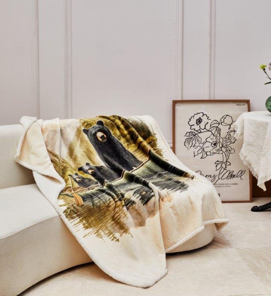 DTR24147 50x60 Three Bears Flannel Throw