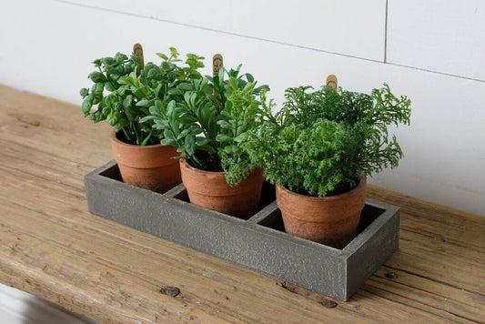 Assorted Herbs