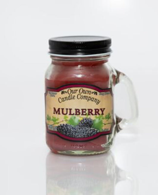 Mini Jar Candle 3.5oz - Mulberry