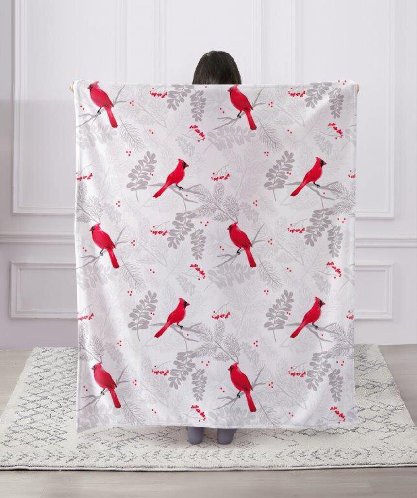 DBF10118 Cardinals Everyday Throw