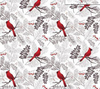 DBF10118 Cardinals Everyday Throw