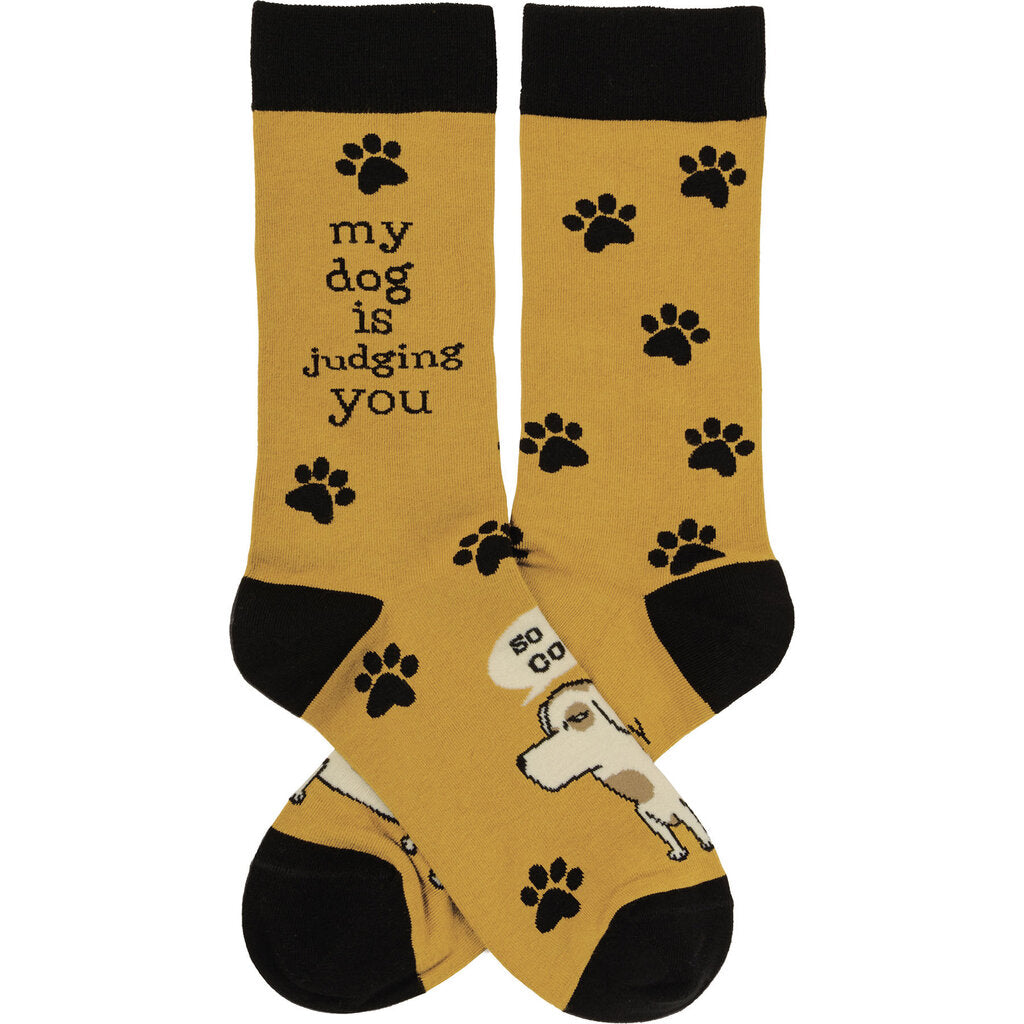 Socks- Dog is Judging