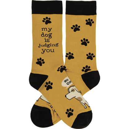 Socks- Dog is Judging